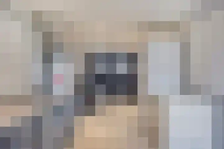 Koraal 17 IJsselmuiden thumbnail 21