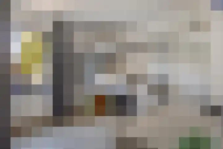 Koraal 17 IJsselmuiden thumbnail 28
