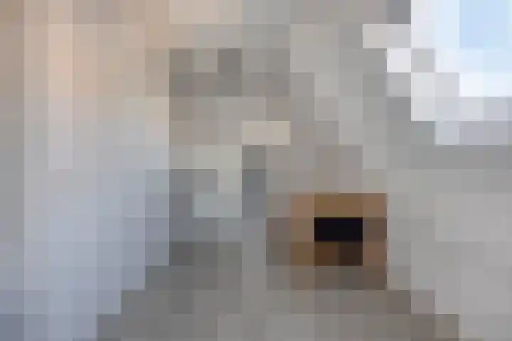 Koraal 17 IJsselmuiden thumbnail 29