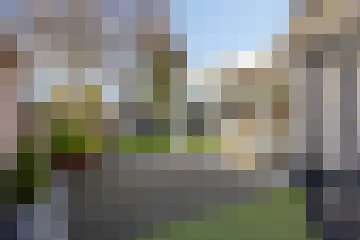 Koraal 17 IJsselmuiden thumbnail 36