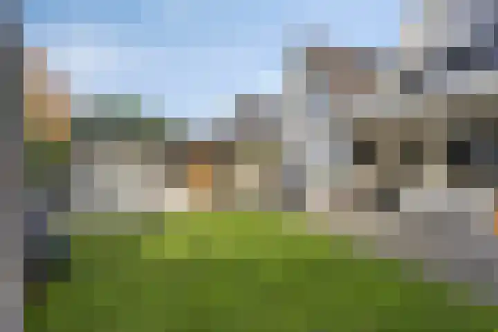 Koraal 17 IJsselmuiden thumbnail 39