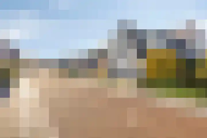 Koraal 17 IJsselmuiden thumbnail 43
