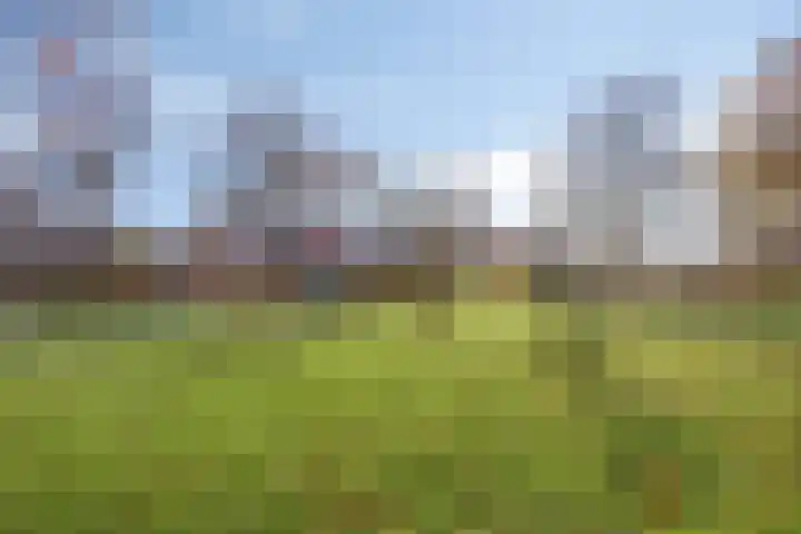 Koraal 17 IJsselmuiden thumbnail 45
