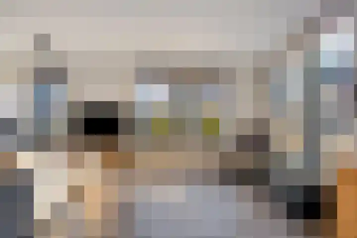 Koraal 17 IJsselmuiden thumbnail 8