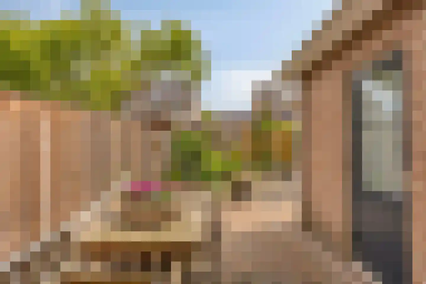 Koraal 18 IJsselmuiden thumbnail 29