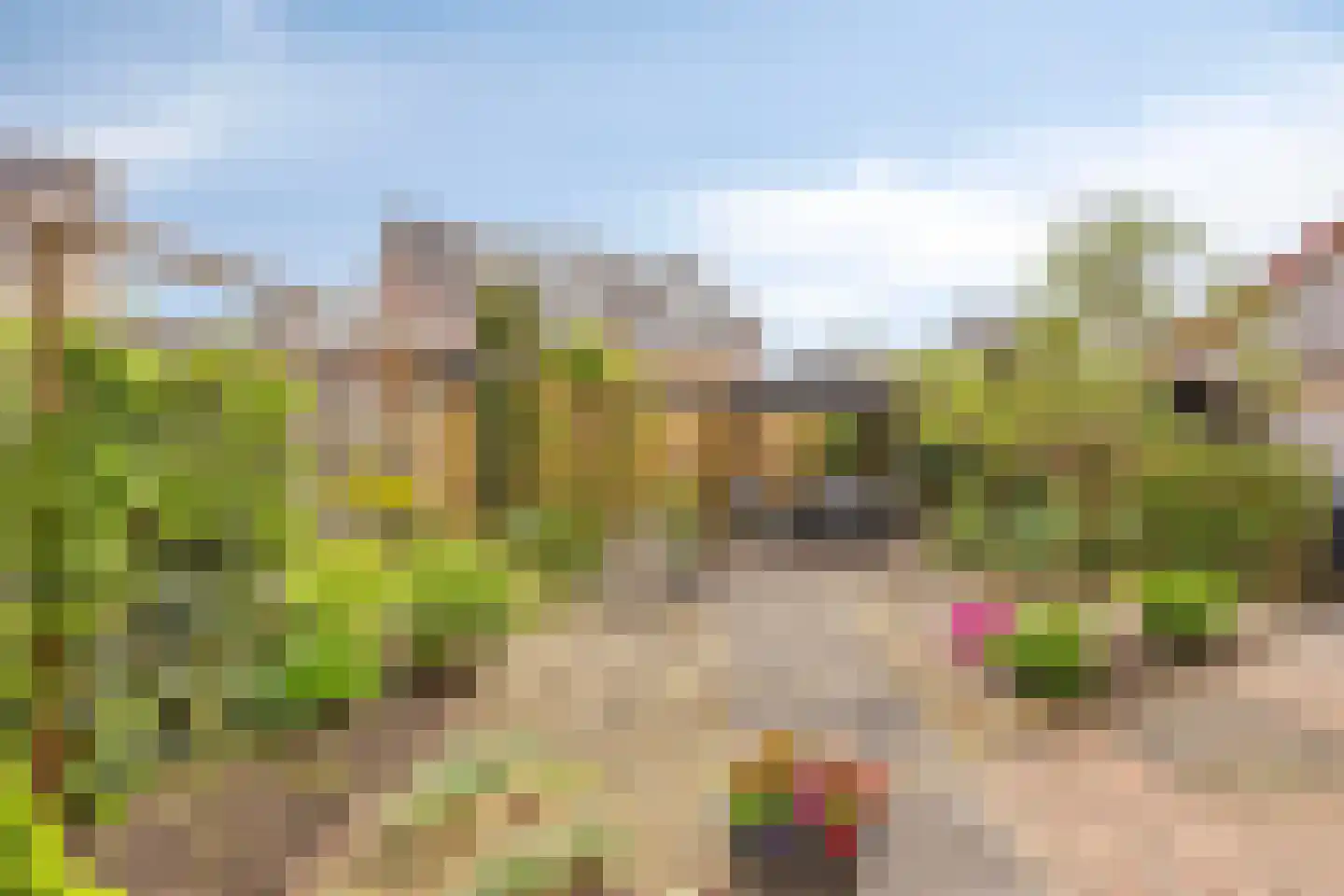Koraal 18 IJsselmuiden thumbnail 30