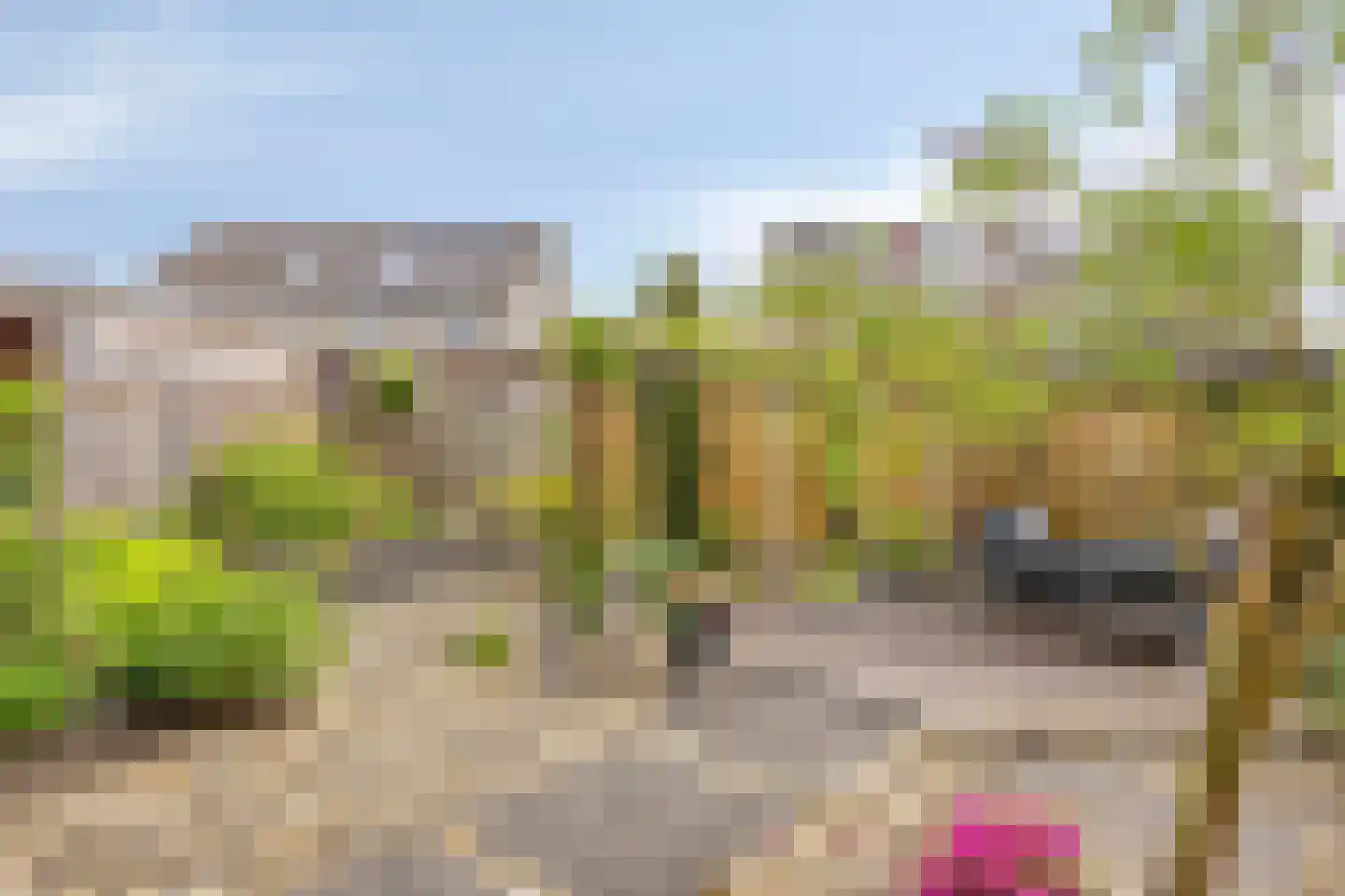 Koraal 18 IJsselmuiden thumbnail 31