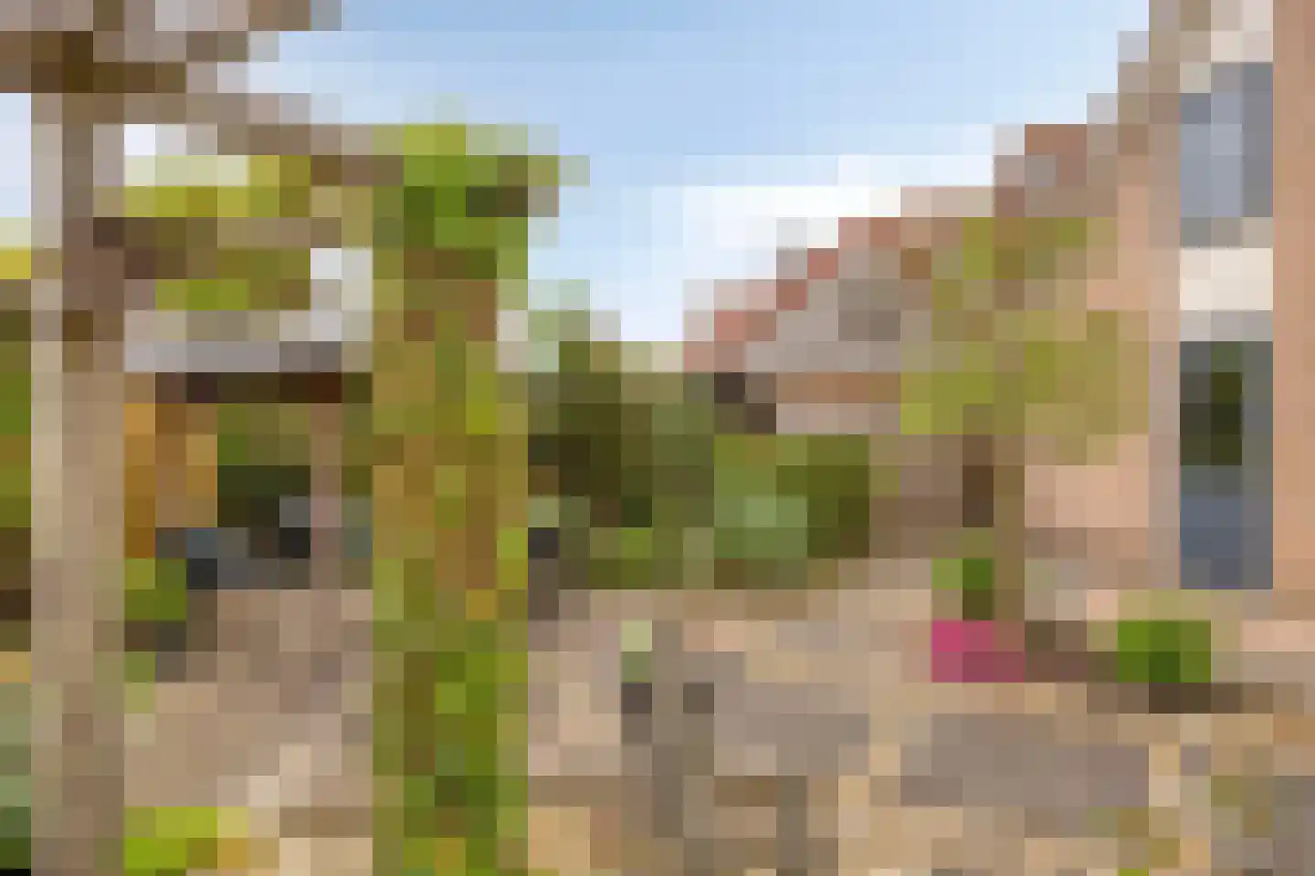 Koraal 18 IJsselmuiden thumbnail 32