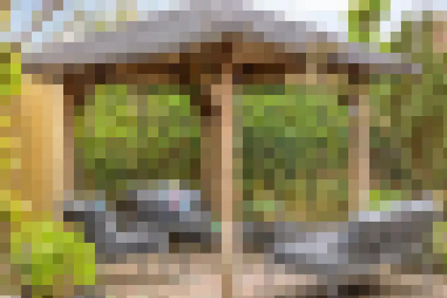 Koraal 18 IJsselmuiden thumbnail 34