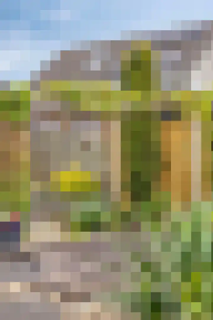 Koraal 18 IJsselmuiden thumbnail 36