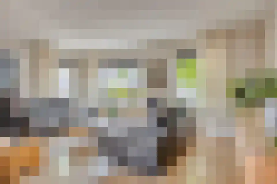 Koraal 18 IJsselmuiden thumbnail 8