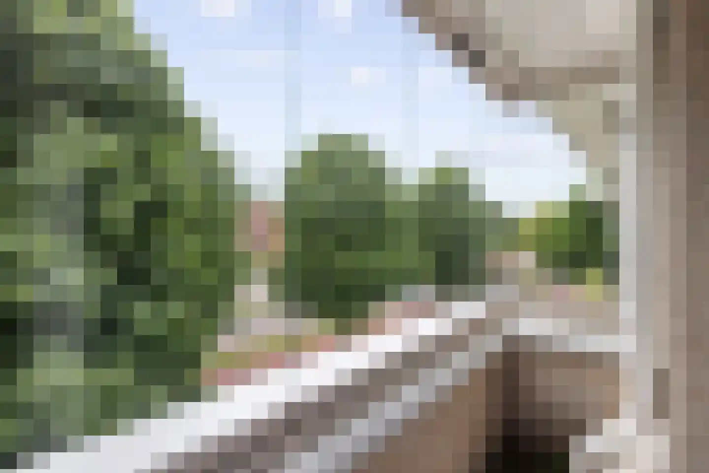 Koraal 18 Veldhoven thumbnail 29