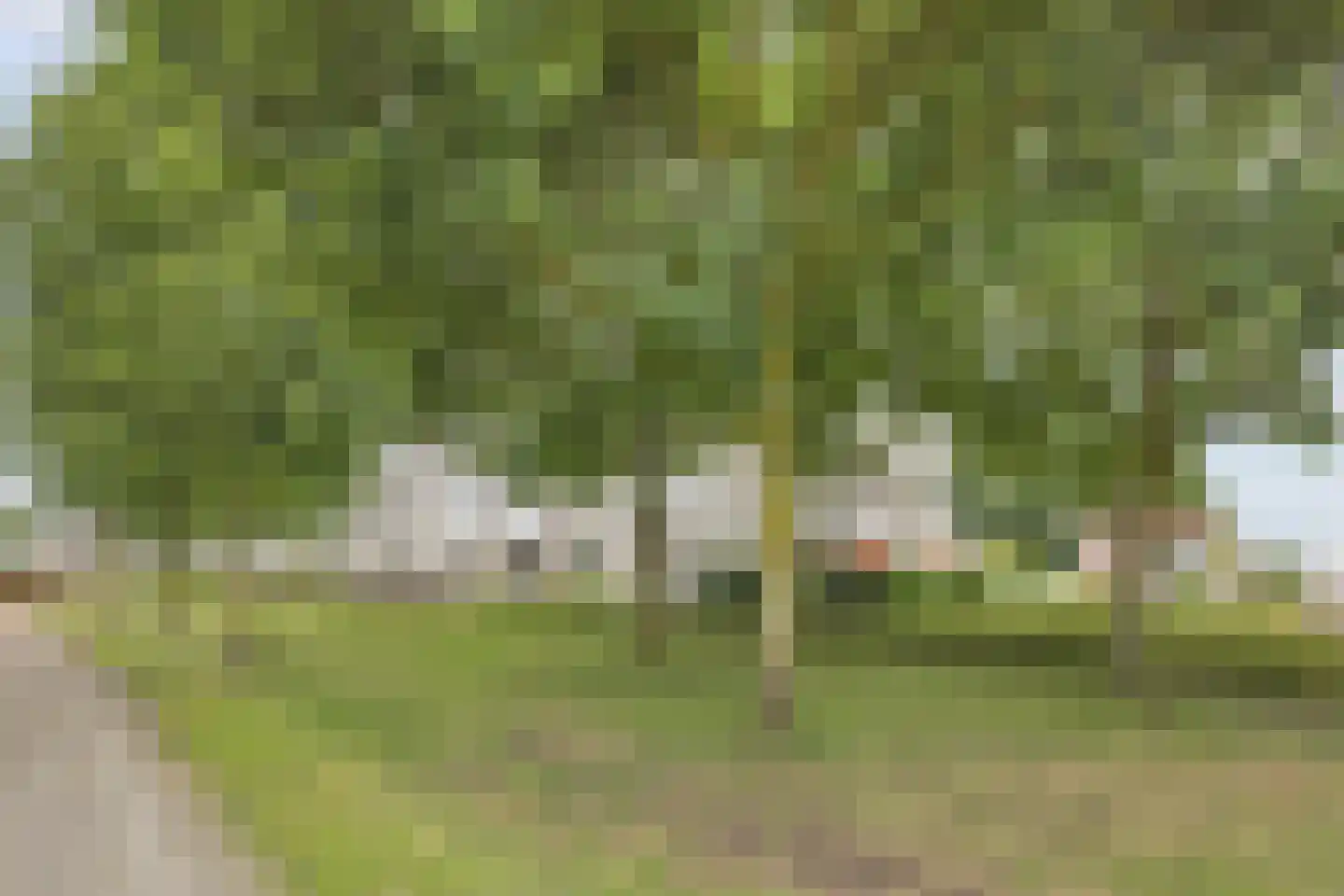 Koraal 18 Veldhoven thumbnail 7