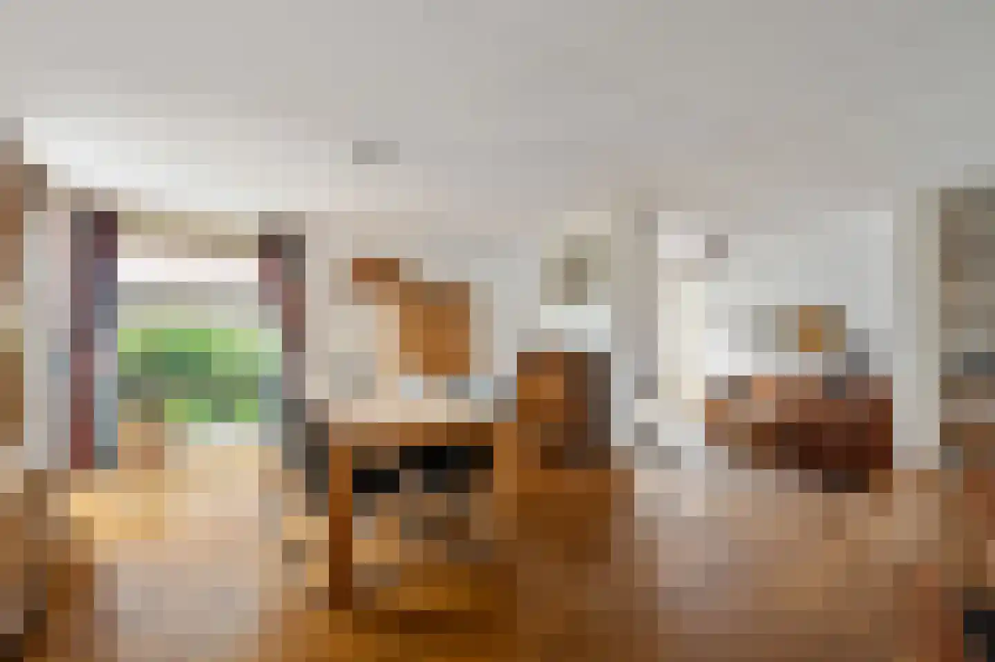 Koraal 2 IJsselmuiden thumbnail 12