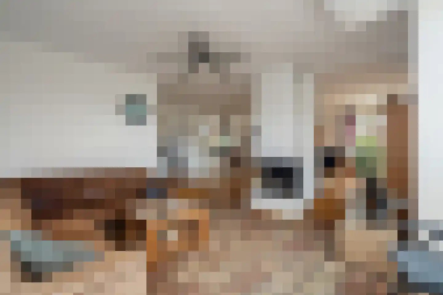Koraal 2 IJsselmuiden thumbnail 14
