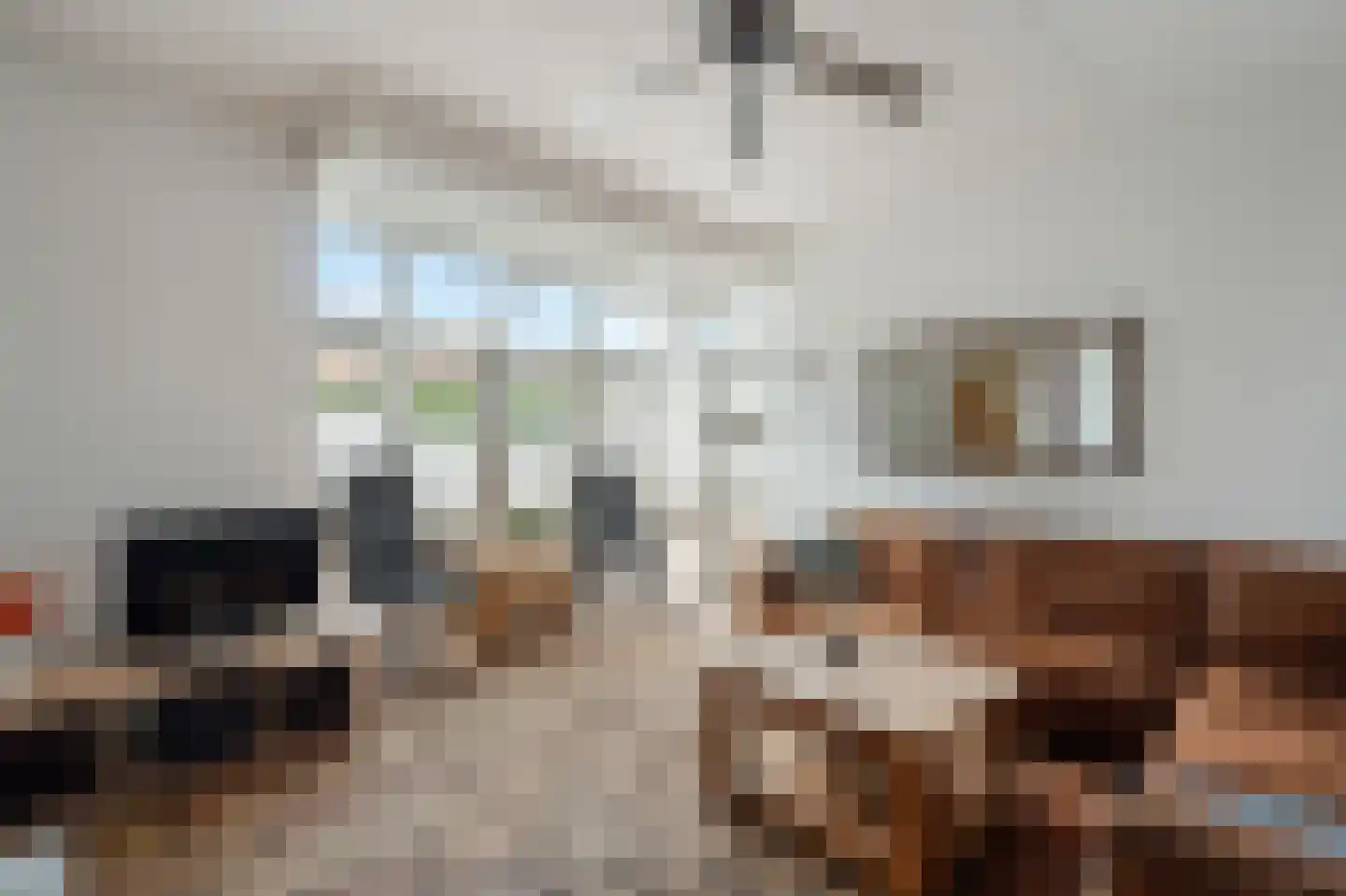 Koraal 2 IJsselmuiden thumbnail 16
