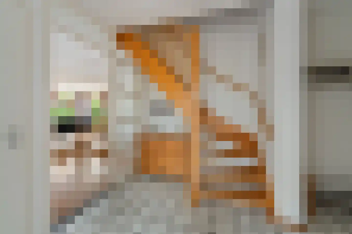 Koraal 2 IJsselmuiden thumbnail 23