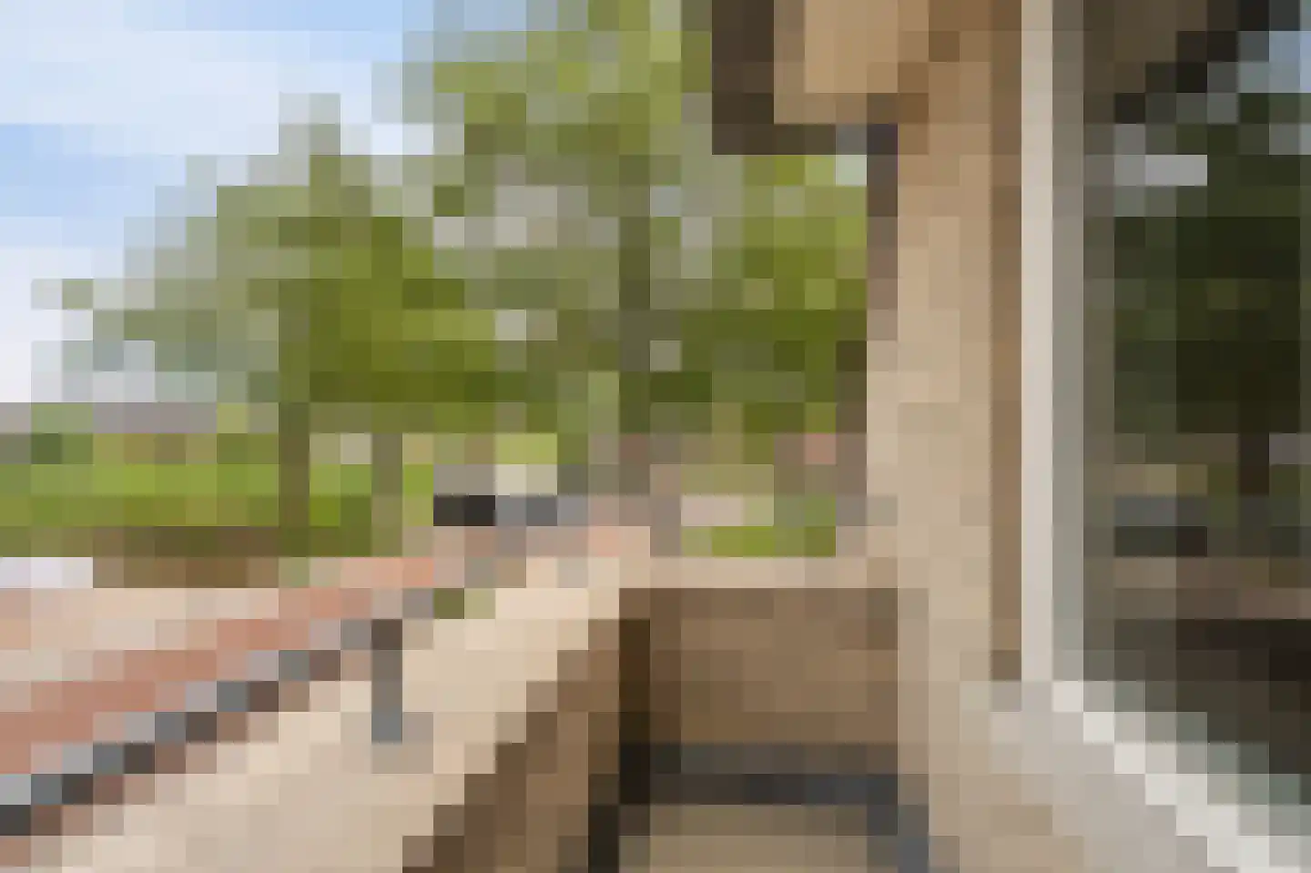 Koraal 2 IJsselmuiden thumbnail 31