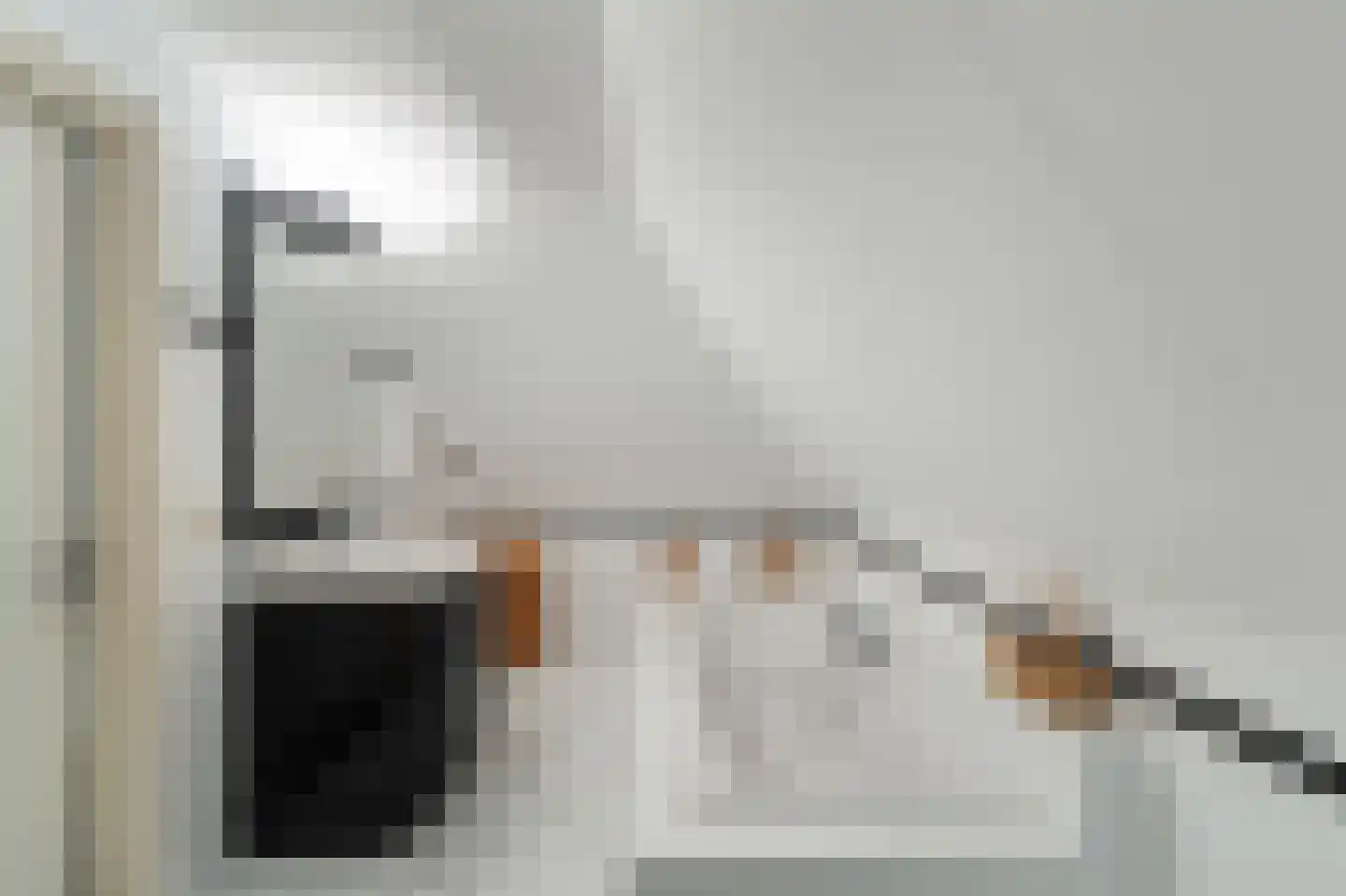 Koraal 2 IJsselmuiden thumbnail 37