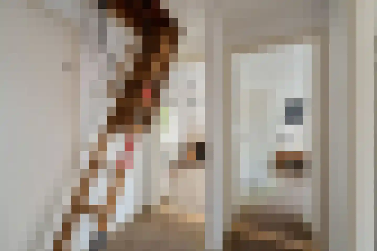 Koraal 2 IJsselmuiden thumbnail 39