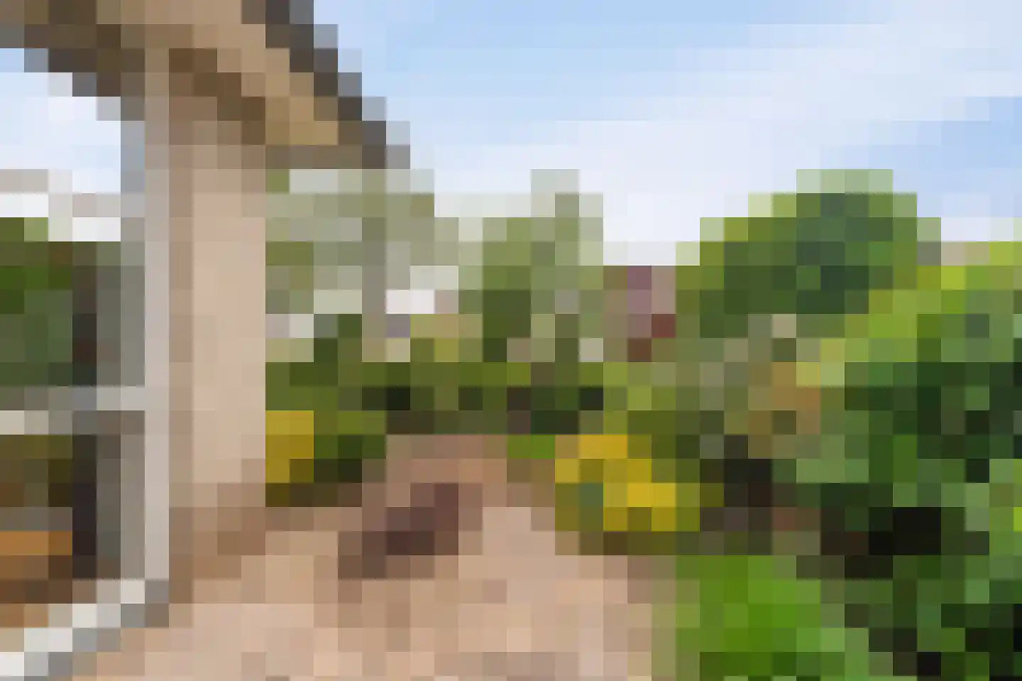 Koraal 2 IJsselmuiden thumbnail 42