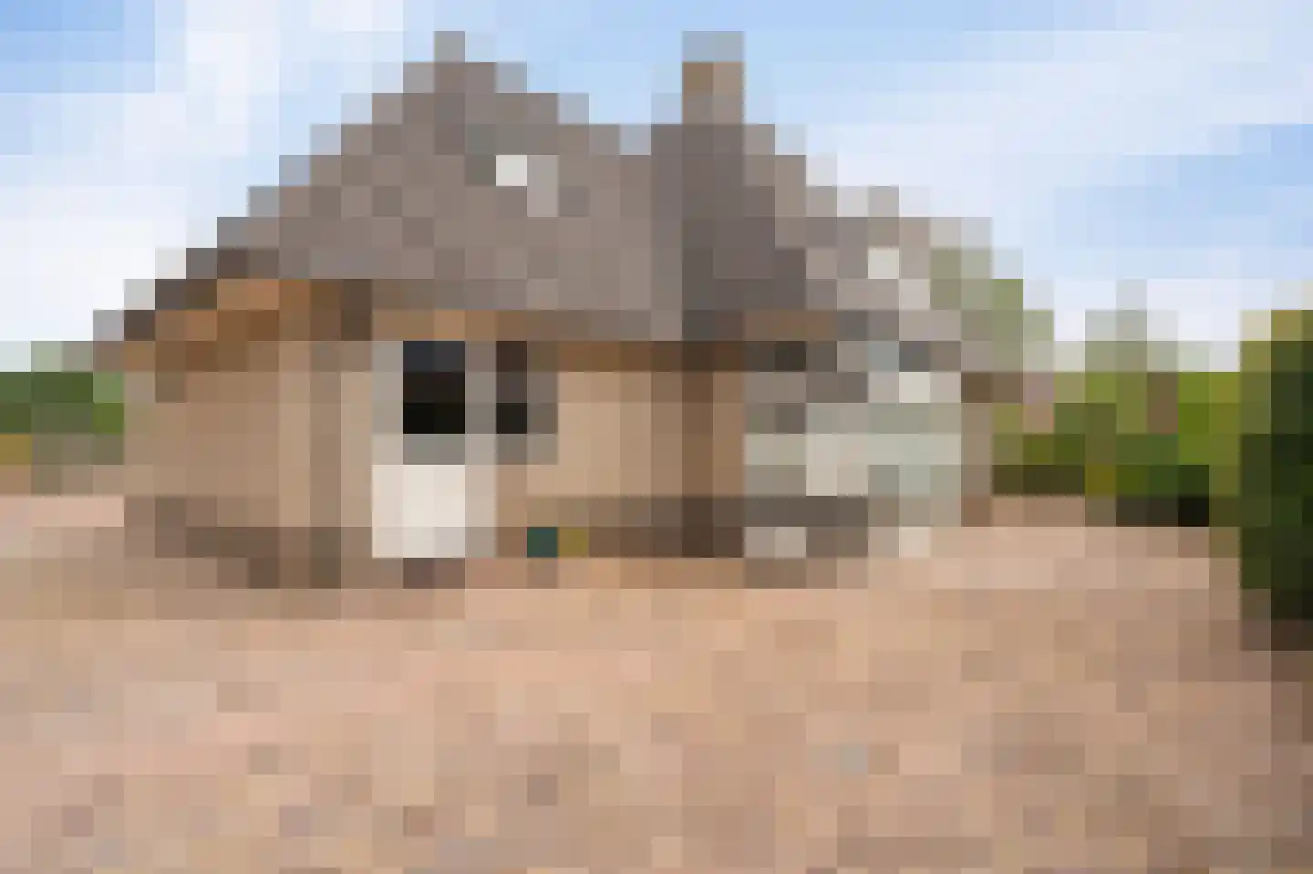 Koraal 2 IJsselmuiden thumbnail 43