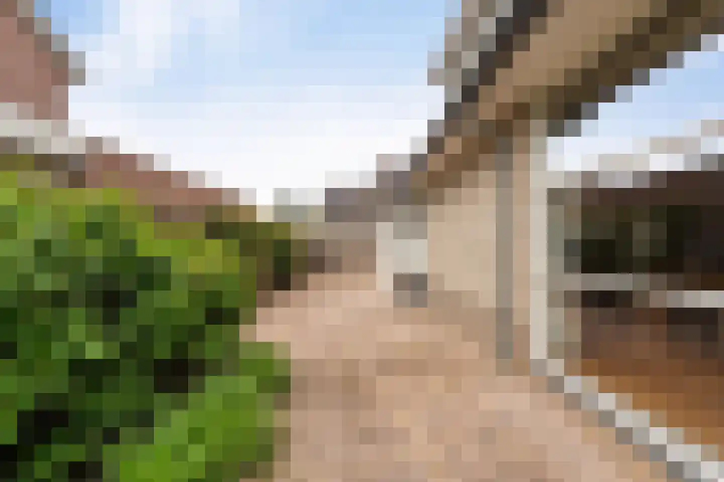 Koraal 2 IJsselmuiden thumbnail 45