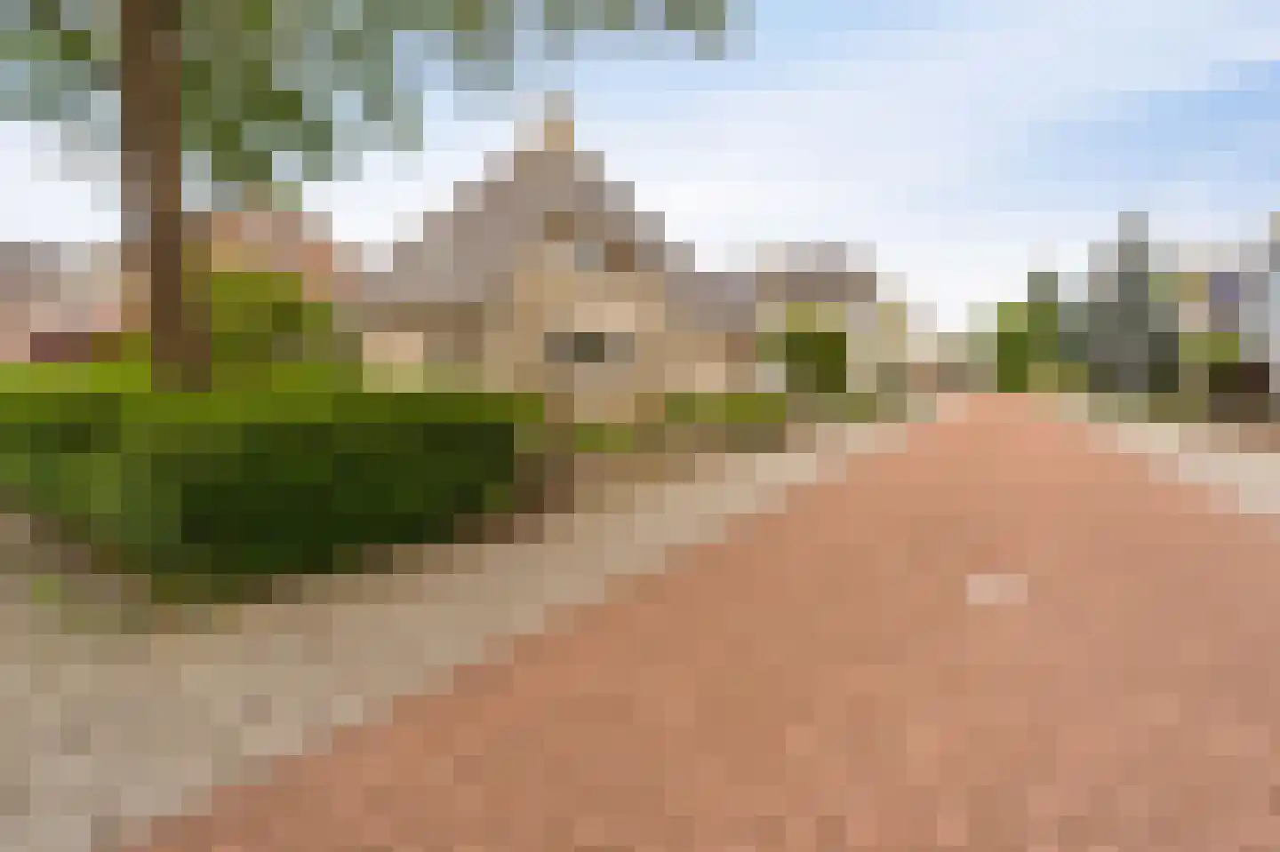 Koraal 2 IJsselmuiden thumbnail 6