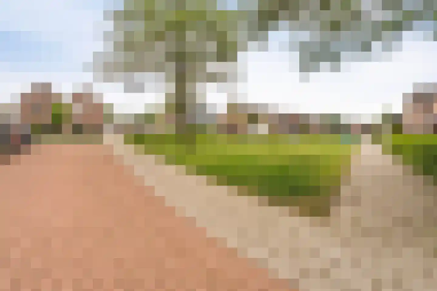Koraal 2 IJsselmuiden thumbnail 7