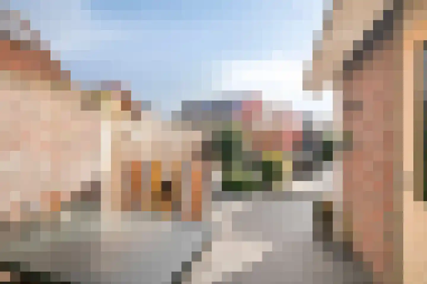 Koraal 22 IJsselmuiden thumbnail 48
