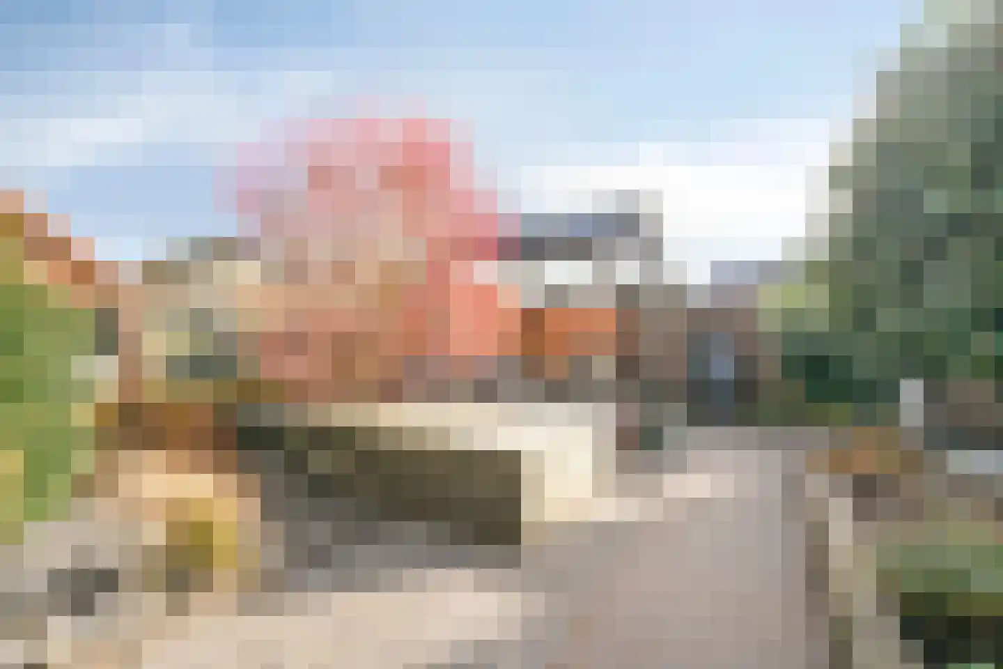 Koraal 22 IJsselmuiden thumbnail 49