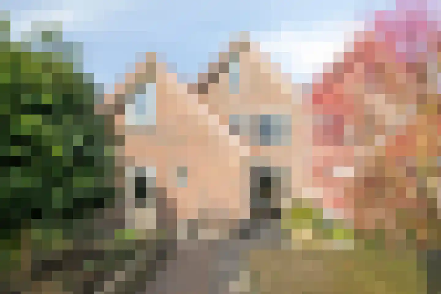 Koraal 22 IJsselmuiden thumbnail 56