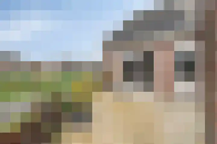 Koraal 25 IJsselmuiden thumbnail 32