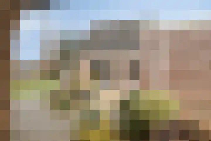 Koraal 25 IJsselmuiden thumbnail 33
