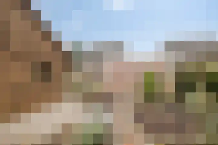 Koraal 25 IJsselmuiden thumbnail 34