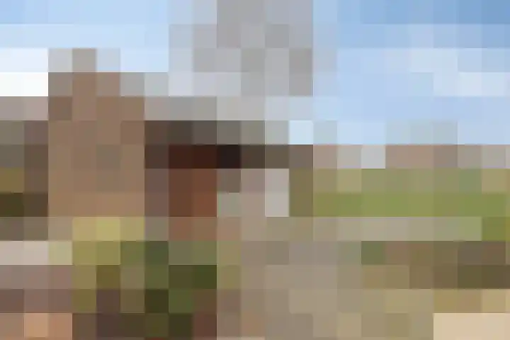 Koraal 25 IJsselmuiden thumbnail 36