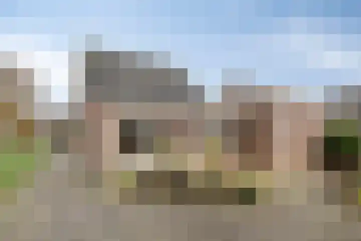 Koraal 25 IJsselmuiden thumbnail 37
