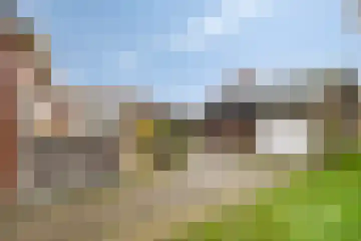 Koraal 25 IJsselmuiden thumbnail 38