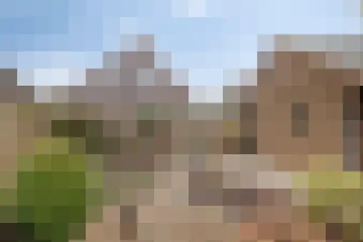 Koraal 25 IJsselmuiden thumbnail 4