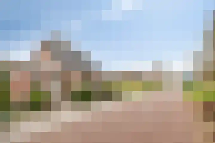 Koraal 25 IJsselmuiden thumbnail 45