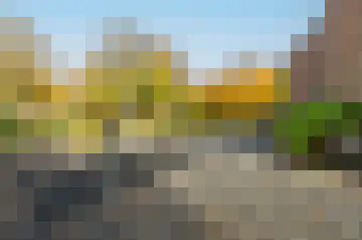 Koraal 28 Mijdrecht thumbnail 39