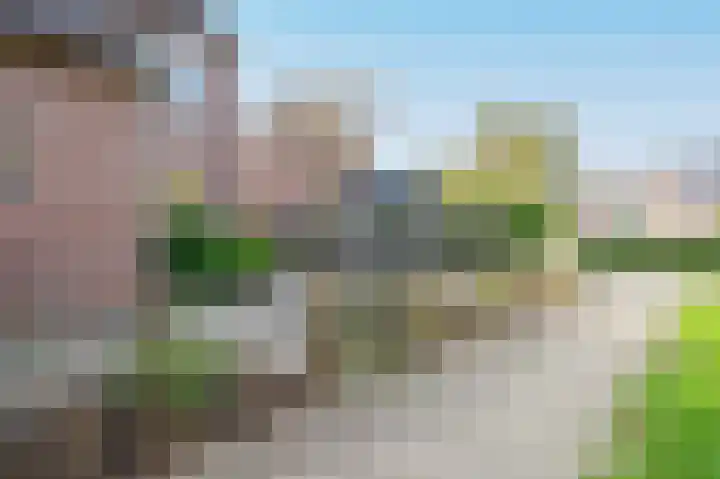 Koraal 28 Mijdrecht thumbnail 41
