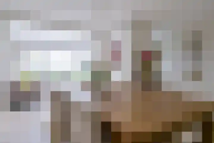 Koraal 40 Mijdrecht thumbnail 10