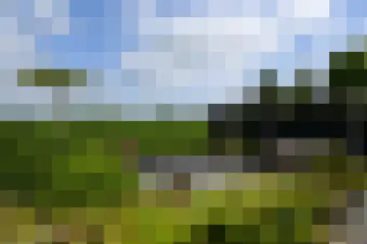 Koraal 40 Mijdrecht thumbnail 38