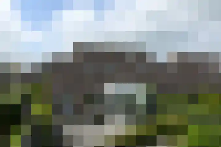 Koraal 40 Mijdrecht thumbnail 40
