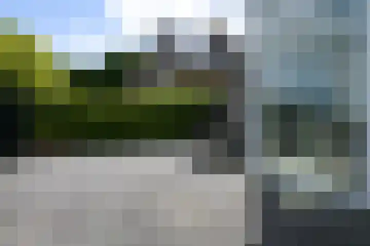 Koraal 40 Mijdrecht thumbnail 41