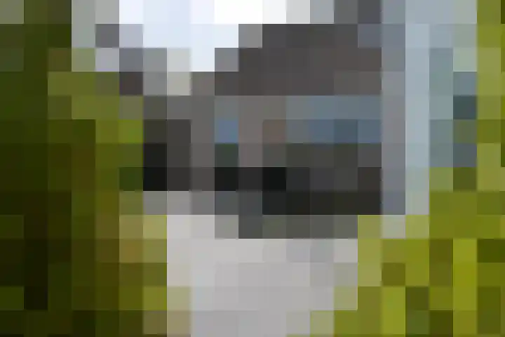 Koraal 40 Mijdrecht thumbnail 42