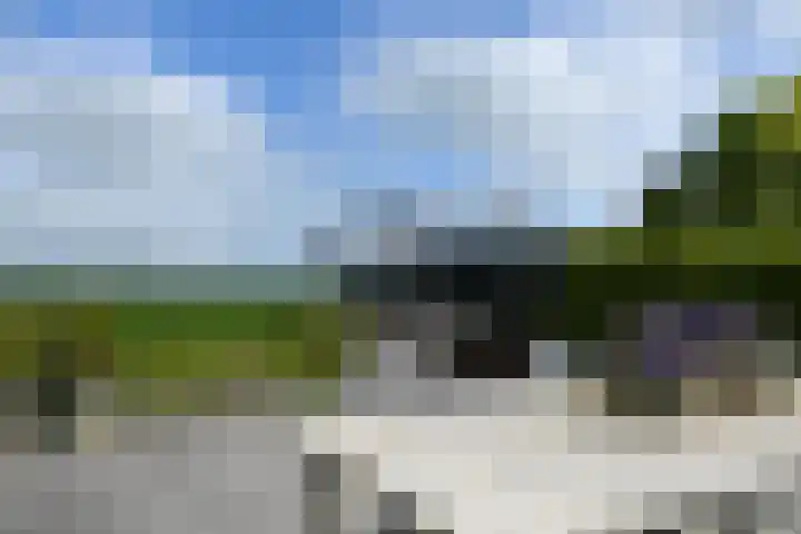 Koraal 40 Mijdrecht thumbnail 44