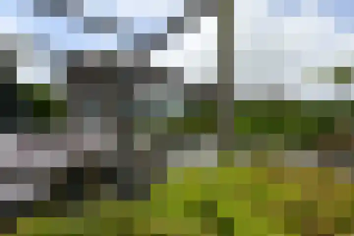 Koraal 40 Mijdrecht thumbnail 46
