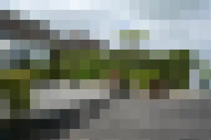 Koraal 40 Mijdrecht thumbnail 47